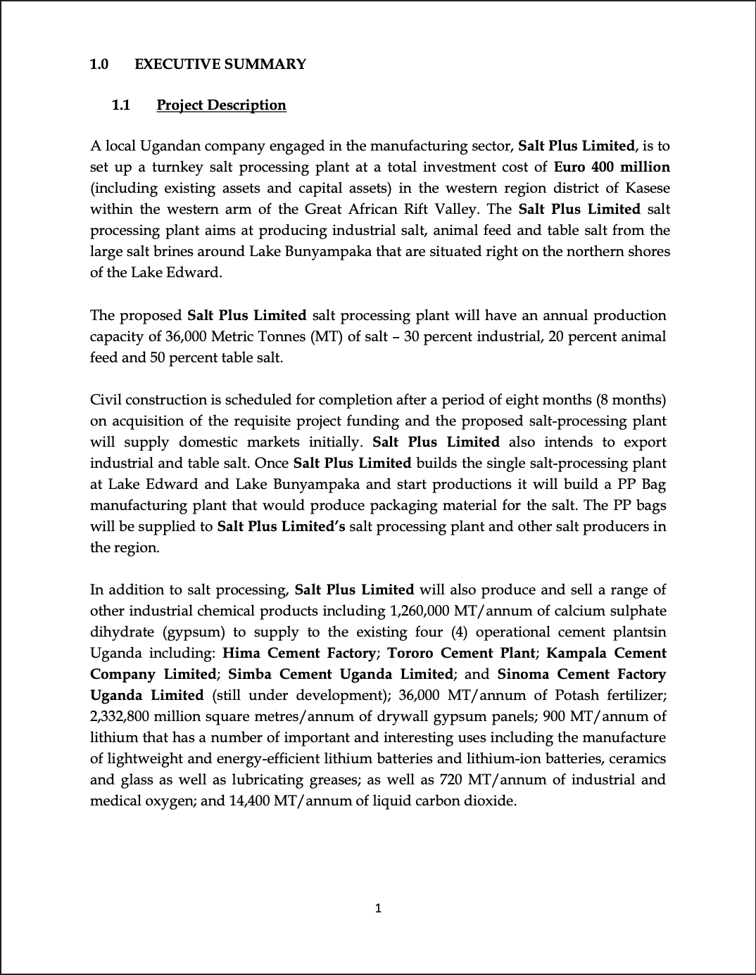 Salt Plus business plan cover—Lake Bunyampaka industrial salts and gases.