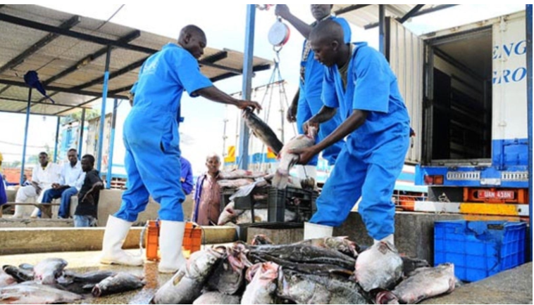 Buweera Planters Limited – Cage Aquaculture image 5